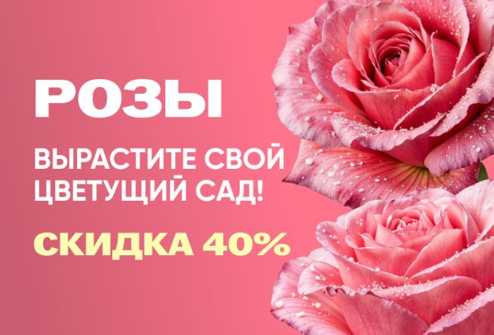 sale image