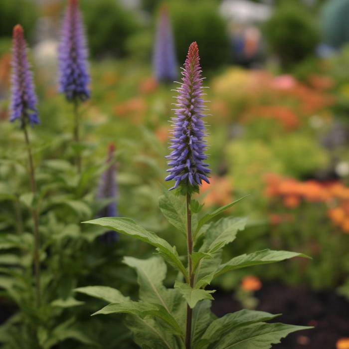 Вероникструм