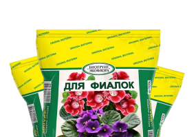 Биогрунт