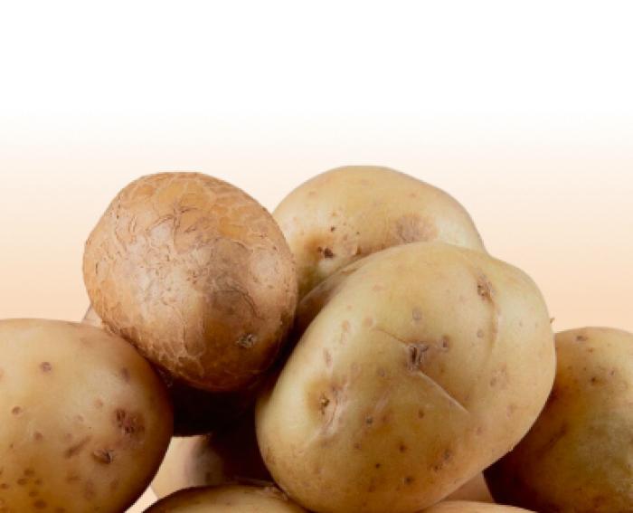 Клубни картофеля