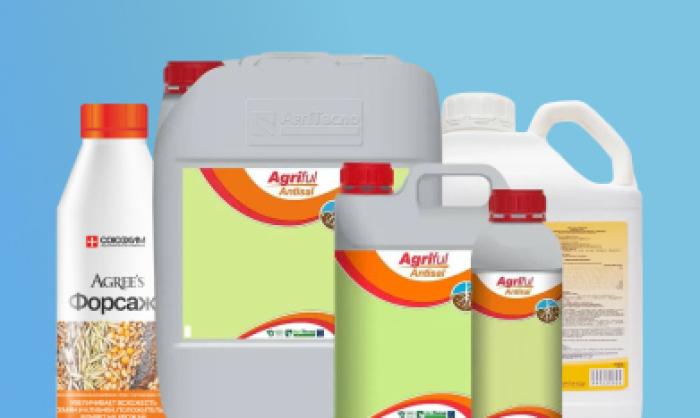 Рост корневой системы