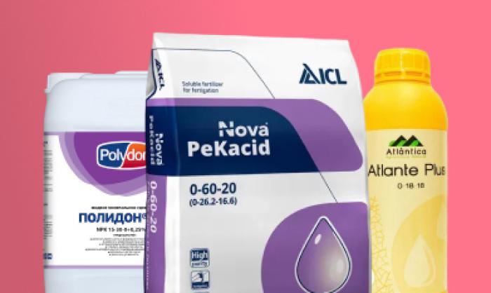 Рост побегов и плодов