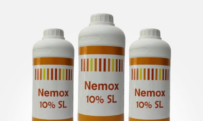 Нематоциды